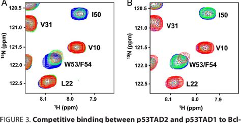 Figure 3 From Dual Site Interactions Of P53 Protein Transactivation