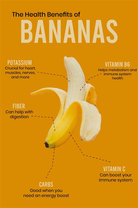 Banana Nutrition Facts And Health Benefits Emma Ronic Banana