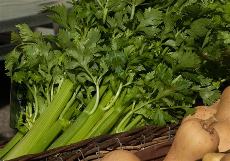 Free Images : food, green, herb, produce, vegetables, celery, turnips ...