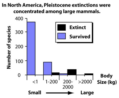 Pleistocene Extinctions Sam Noble Museum