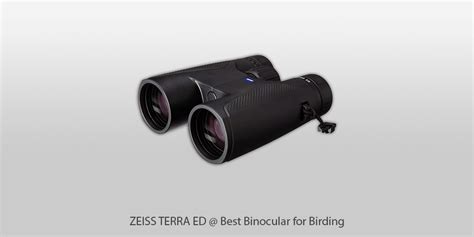 9 Best Binoculars For Birding In 2024