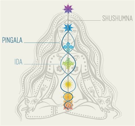 Kundalini Yoga Chakras - 7 Chakaras And 7 Yoga Poses : Chakra symbols ...