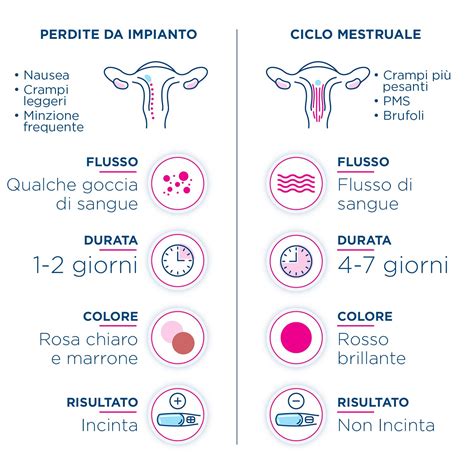 Le Perdite Da Impianto Fioccorosa