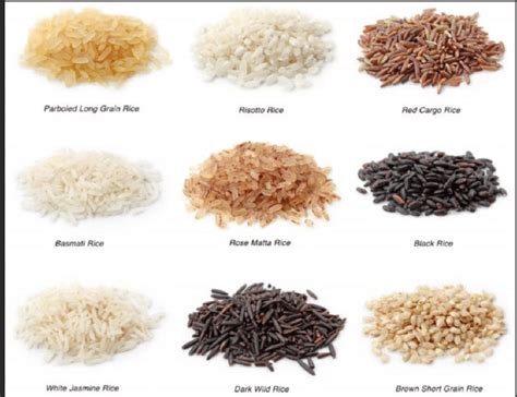 Different types of rice which indicates different colour of the rice [25]. | Download Scientific ...