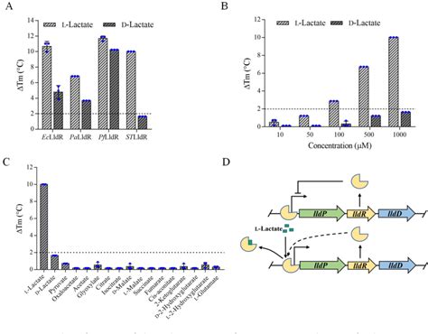 Figure From A Selective Fluorescent L Lactate Biosensor Based On An L