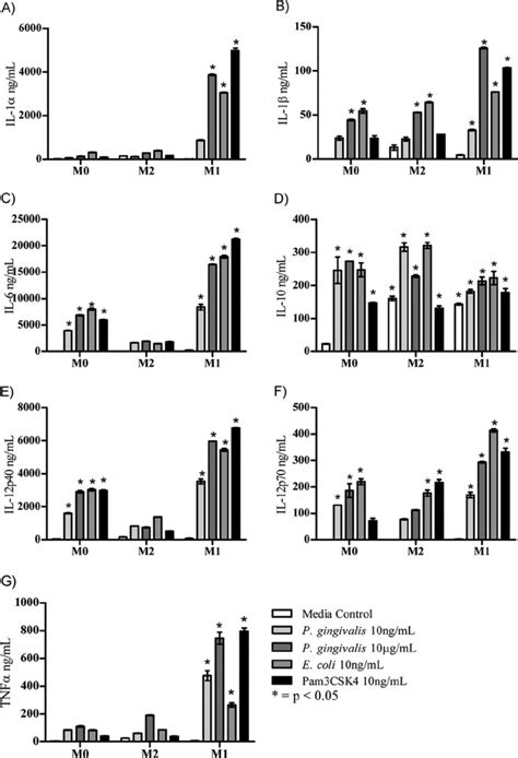 Cytokine Expression By Bone Marrow Derived Macrophages Bmm ␾ Were Download Scientific Diagram