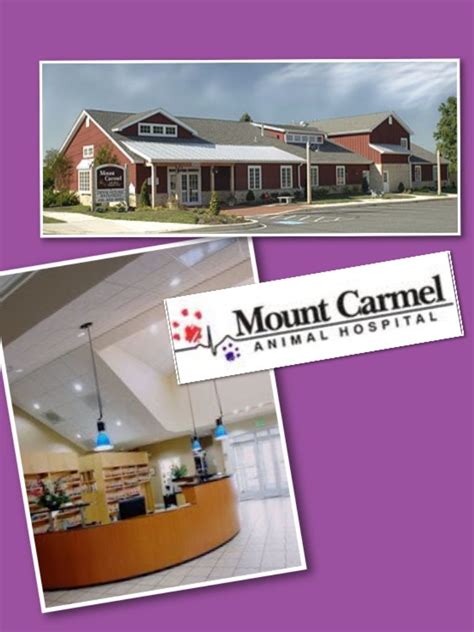 mt carmel pet hospital - Benton Haller