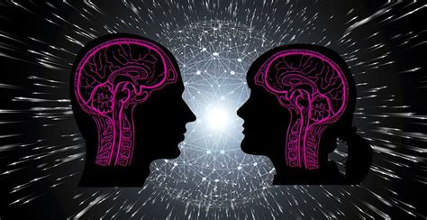 How Associative Fear Memory Is Formed In The Brain | Faculty of Medicine