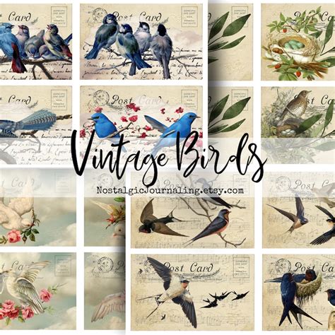 Bird Postcards Etsy