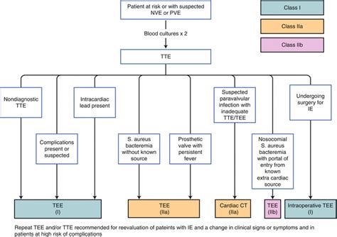 Infective Endocarditis Radiology Key