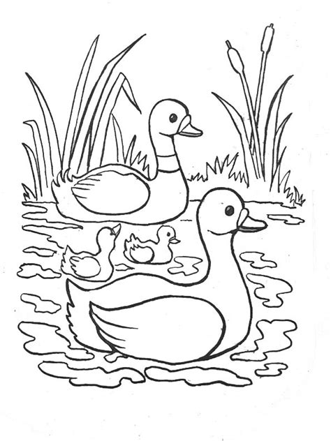 S Lection De Coloriage Canard Imprimer Sur Laguerche Page