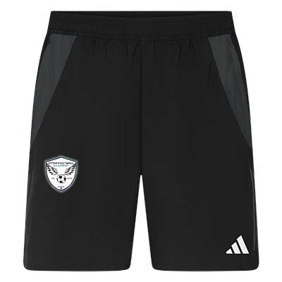 Adidas Tiro 24 Competition Downtime Short Noir L TEAM 45644