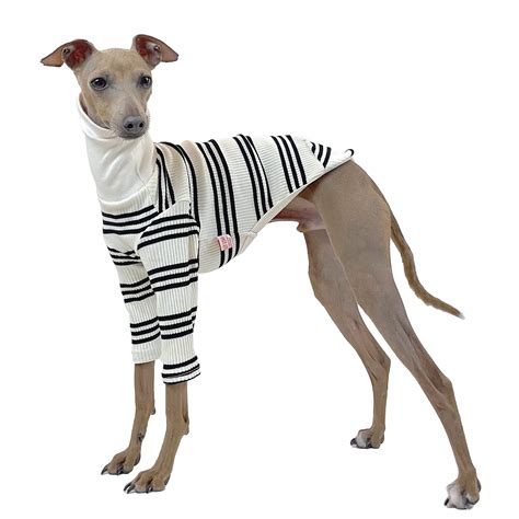 Italian Greyhound Coat