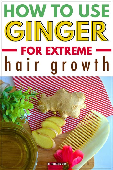 How To Use Ginger For Hair Growth And Dandruff 6 DIY Scalp Hair