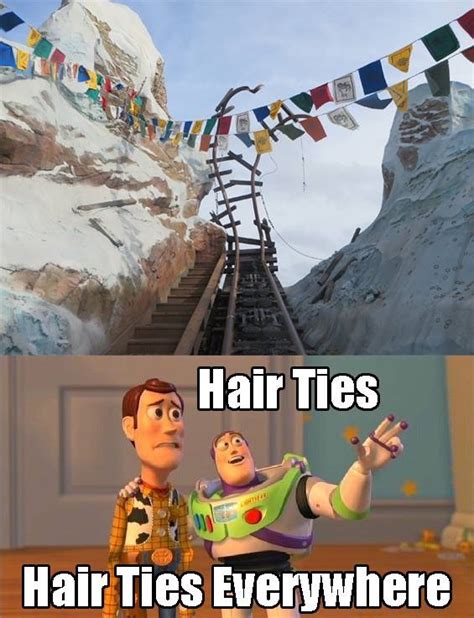 11 Funny Memes Only A Disney Park Lover Will Understand Allears Net