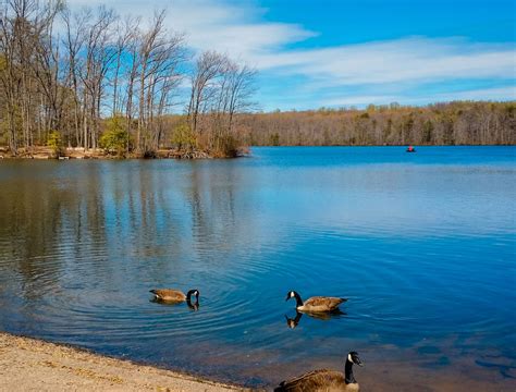 Northern Virginia - The Christopher Companies