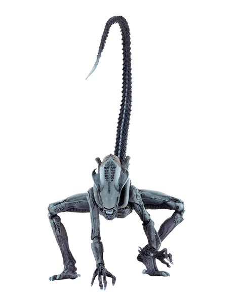 Buy Neca Alien Vs Predator Scale Action Figure Arcade Arachnoid