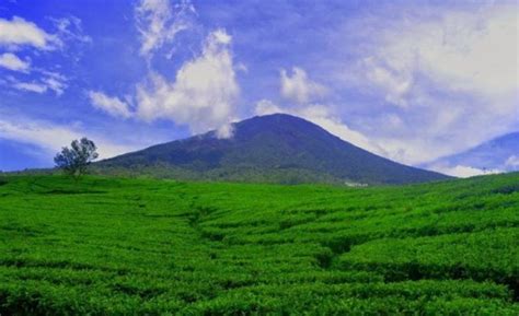 Status Gunung Dempo Naik Waspada