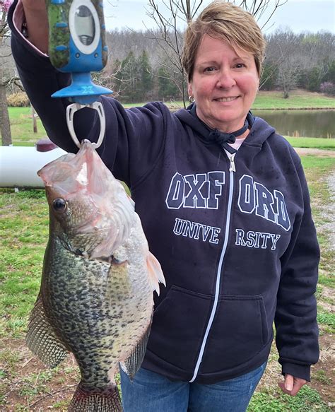 4324 Giant 3 Pound Crappie Caught On Truman Lake Truman Lake