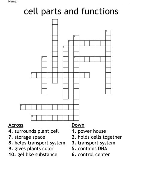 Cell Features Crossword Puzzle