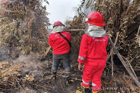 Tim Gabungan Berupaya Padamkan Kebakaran Lahan Di Barito Timur Kalteng