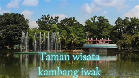 Tour Guide Taman Wisata Kambang Iwak YouTube