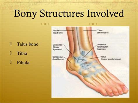 Sprained Ankle Grade Ii