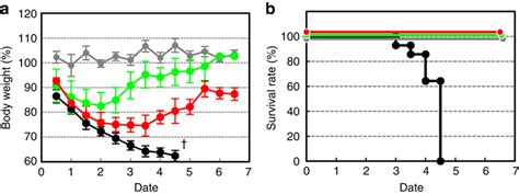 Analysis Of Body Weight Fluctuation And Survival Rate A Measurement