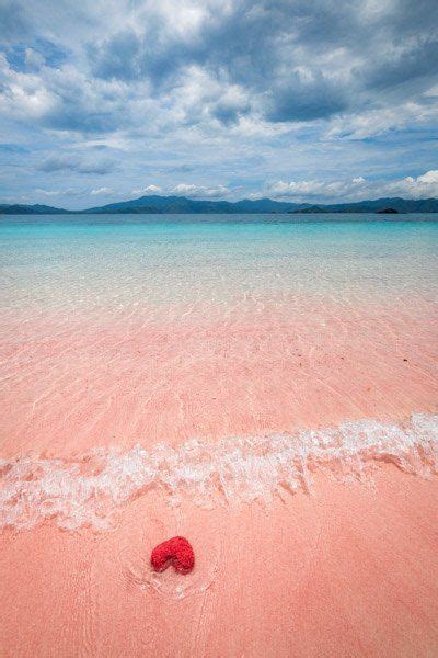 Pink Beach Komodo Island Indonesias Famous Pink Sand Beaches Komodo