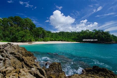 Wisata Teluk Hijau Mengintip Keindahan Surga Tersembunyi Di Banyuwangi