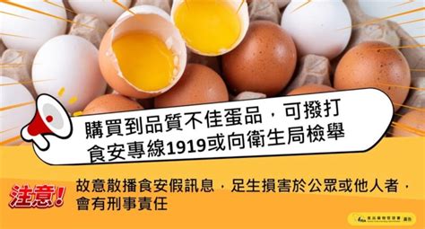 買到品質不佳雞蛋 食藥署：可撥1919食安專線或向衛生局檢舉 生活 中央社 Cna