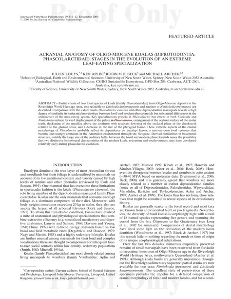 (PDF) Cranial Anatomy of Oligo-Miocene Koalas (Diprotodontia: Phascolarctidae): Stages in the ...