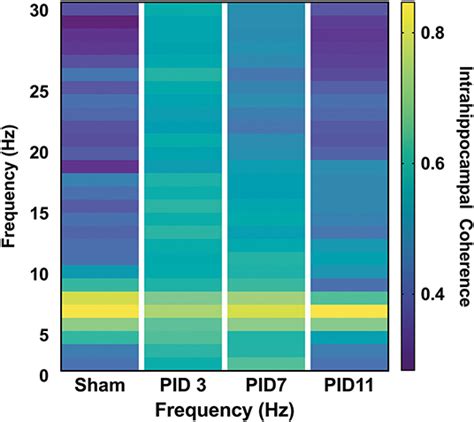 Frontiers Recovery Of Theta Frequency Oscillations In Rats Following