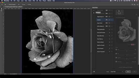 How To Colorize A Black And White Photo In Adobe Photoshop