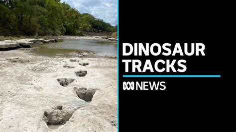 Dried Up Riverbed Reveals 113 Million Year Old Dinosaur Tracks Abc News