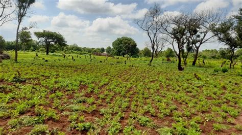 Farm Project - YouTube