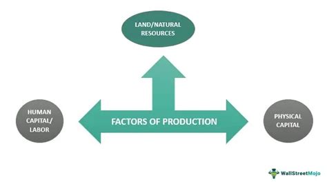 Physical Capital Definition Types Examples Factors