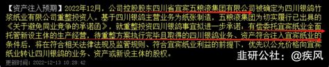 国企改革 宜宾纸业 大股东承诺为摆脱同业竞争资产注入预期 韭研公社