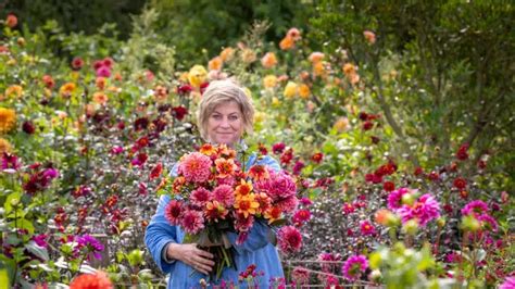 Plantes Vivaces D Automne Pour Le Jardin Esp Ces Splendides