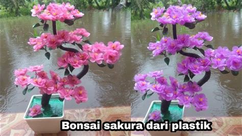 Bonsai Sakura Dari Plastik Kresek DIY Cherry Blossom From Plastic Bag