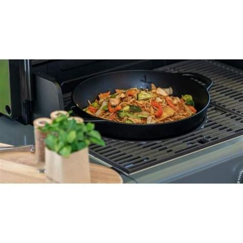 Campingaz Wok F R Culinary Modular System Ab Preisvergleich