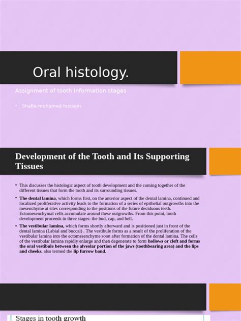 assignment  oral histology  animal anatomy anatomy