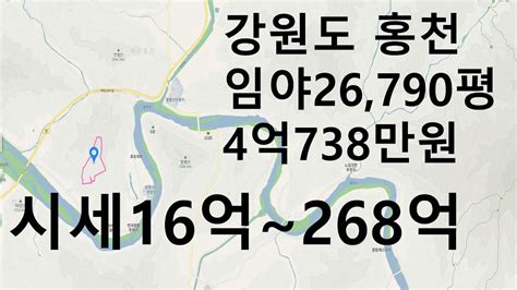 강원 홍천군 임야 26790평 공매 516~518 407385200원 시세16억~268억 농림24137평 생산