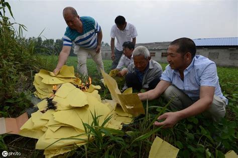 清明上墳有兩樣東西不能帶回家，一旦帶回家，定會大禍降臨 每日頭條