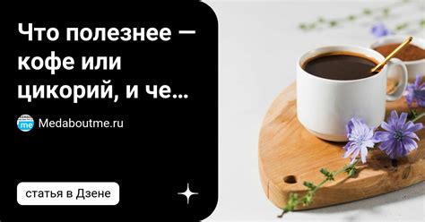 Что полезнее — кофе или цикорий, и чем они отличаются | Medaboutme.ru ...