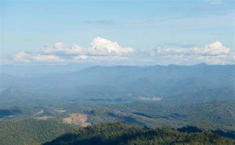 Premium Photo | Forested mountains and sky.