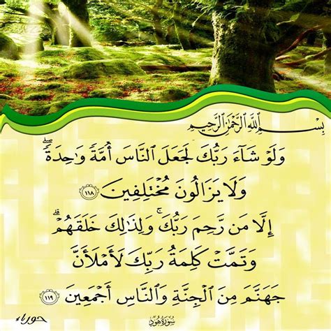 ١١٨ ١١٩ هود