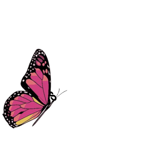 Butterfly Animated Gif 1 Gif Images Download Images