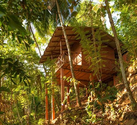 Polwaththa Eco Lodges Digana Updated Prices 2025