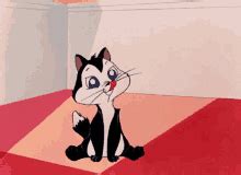 Pussy Cat GIFs Tenor